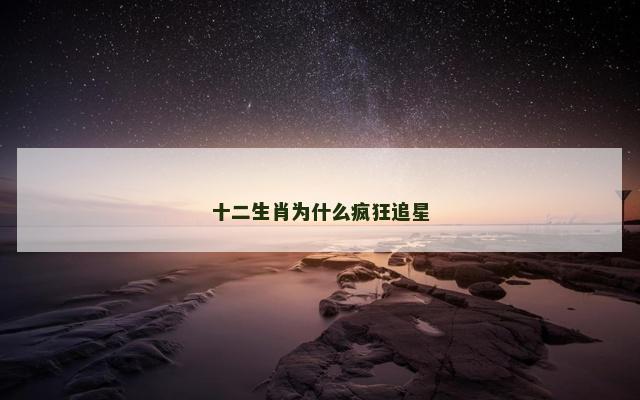 十二生肖为什么疯狂追星