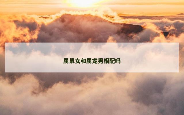 属鼠女和属龙男相配吗