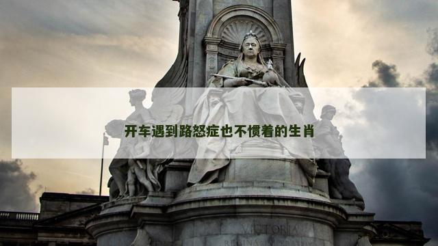 开车遇到路怒症也不惯着的生肖