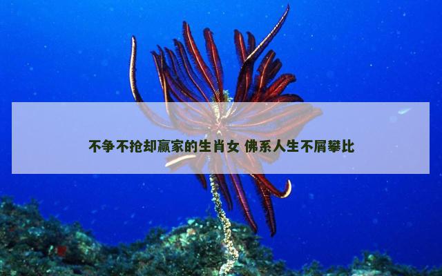 不争不抢却赢家的生肖女 佛系人生不屑攀比