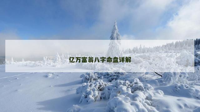 亿万富翁八字命盘详解