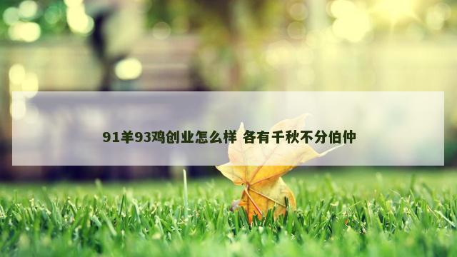 91羊93鸡创业怎么样 各有千秋不分伯仲 91羊93鸡创业怎么样 各有千秋不分伯仲