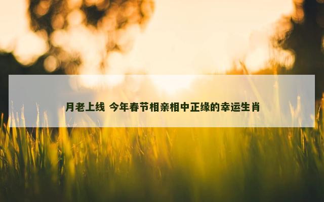 月老上线 今年春节相亲相中正缘的幸运生肖