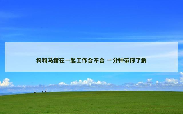 狗和马猪在一起工作合不合 一分钟带你了解