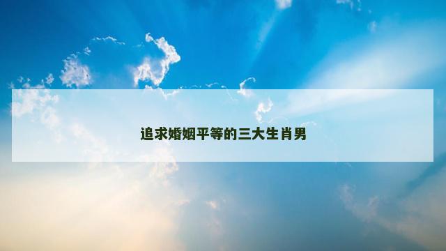 追求婚姻平等的三大生肖男