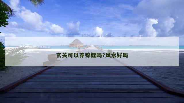 玄关可以养锦鲤吗?风水好吗