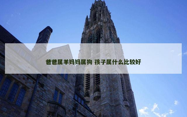 爸爸属羊妈妈属狗 孩子属什么比较好