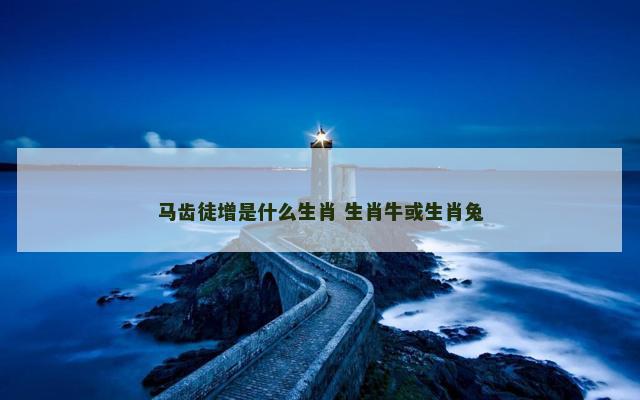 马齿徒增是什么生肖 生肖牛或生肖兔