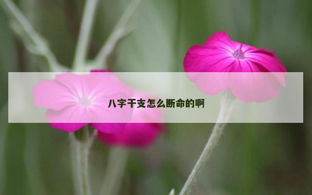 八字干支怎么断命的啊