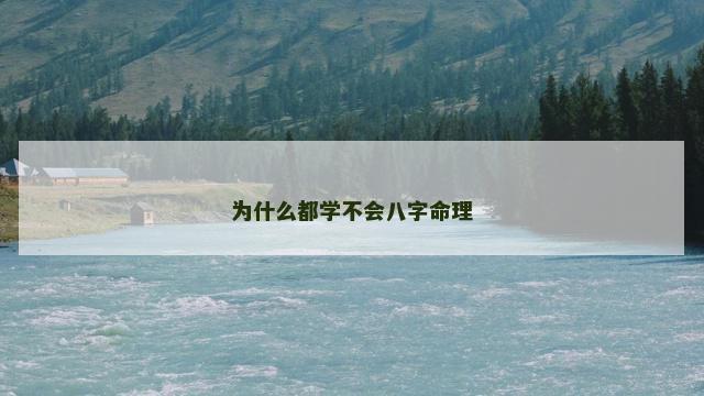 为什么都学不会八字命理