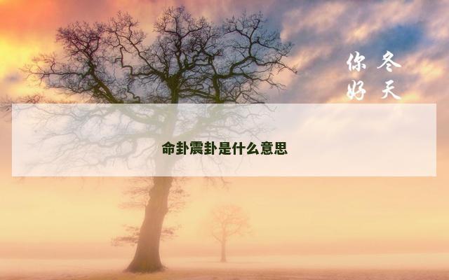 命卦震卦是什么意思