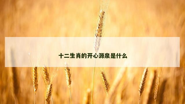 十二生肖的开心源泉是什么