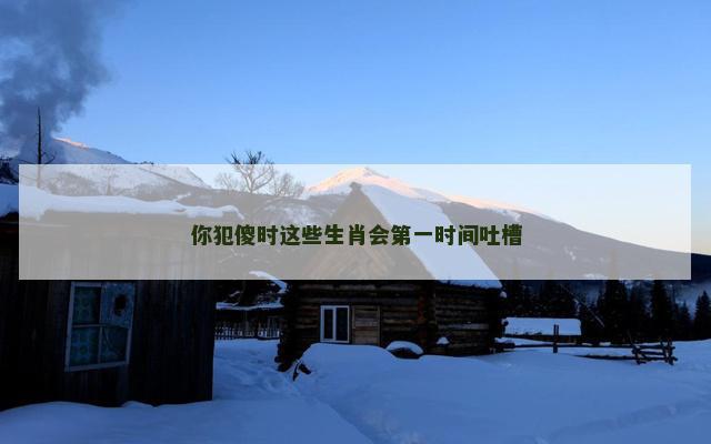 你犯傻时这些生肖会第一时间吐槽