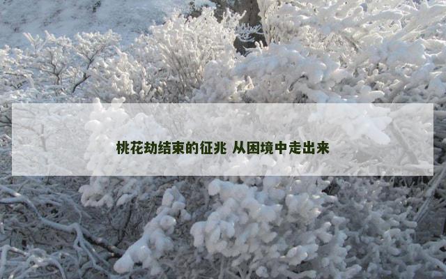 桃花劫结束的征兆 从困境中走出来