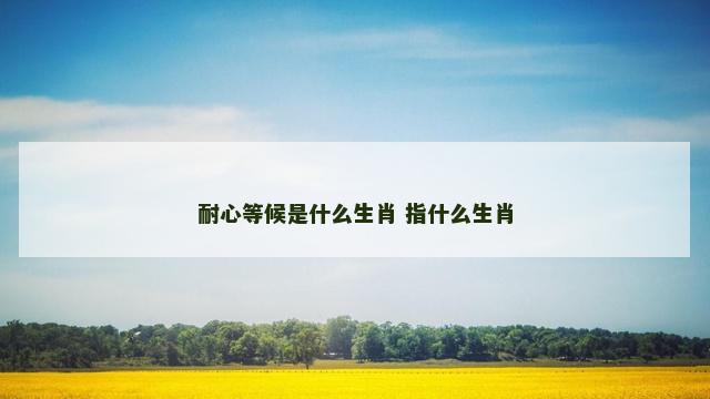 耐心等候是什么生肖 指什么生肖