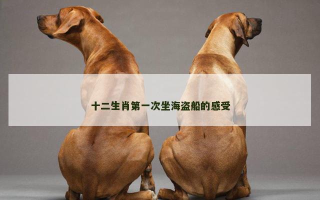 十二生肖第一次坐海盗船的感受