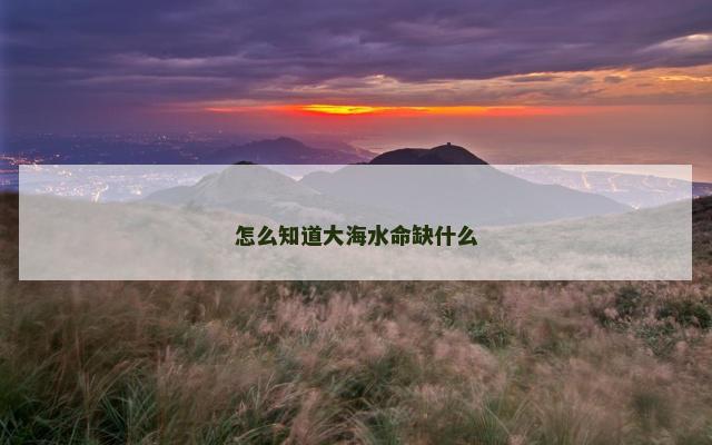怎么知道大海水命缺什么