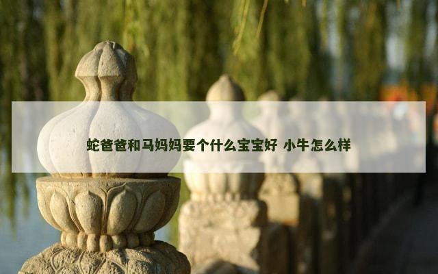 蛇爸爸和马妈妈要个什么宝宝好 小牛怎么样