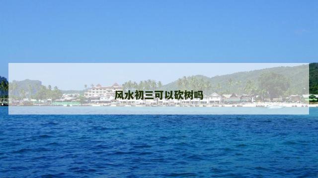 风水初三可以砍树吗