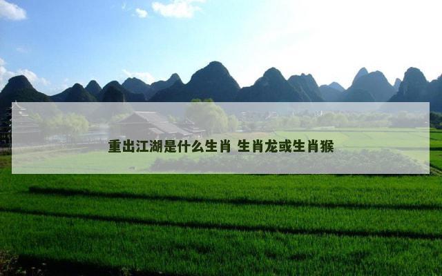 重出江湖是什么生肖 生肖龙或生肖猴