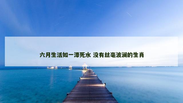 六月生活如一潭死水 没有丝毫波澜的生肖