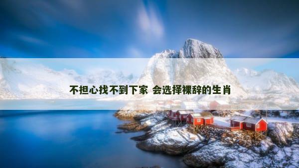 不担心找不到下家 会选择裸辞的生肖