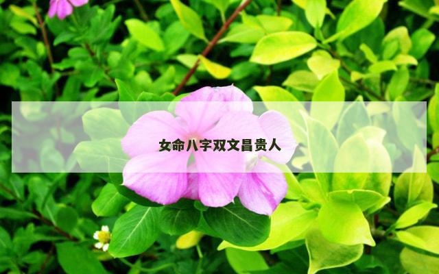 女命八字双文昌贵人