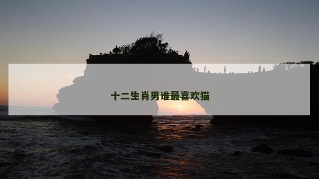 十二生肖男谁最喜欢猫