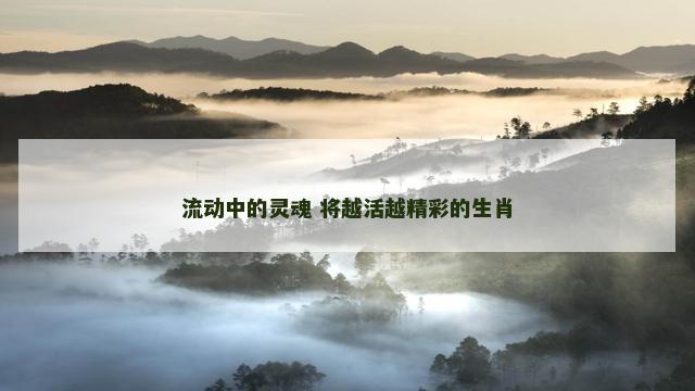 流动中的灵魂 将越活越精彩的生肖