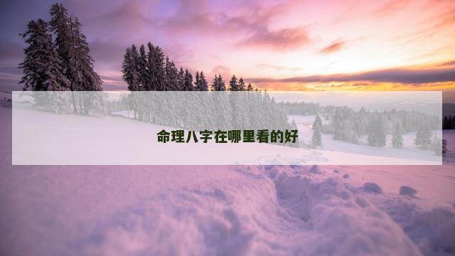 命理八字在哪里看的好