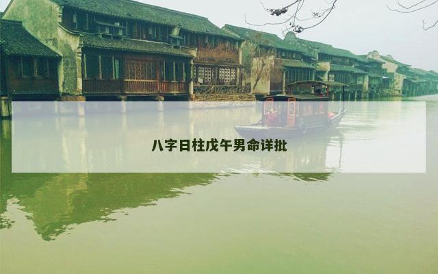 八字日柱戊午男命详批