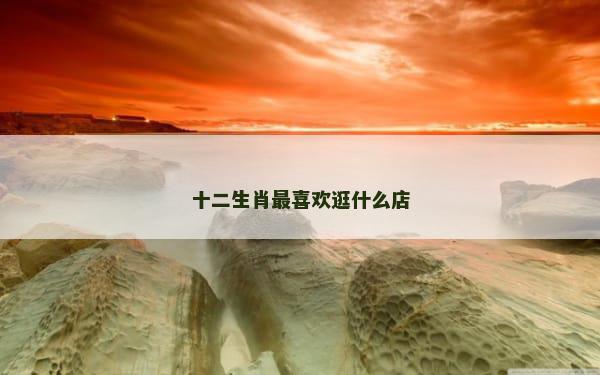 十二生肖最喜欢逛什么店