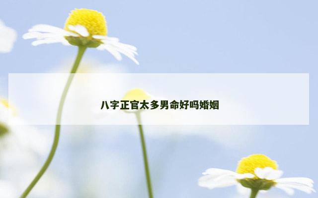 八字正官太多男命好吗婚姻