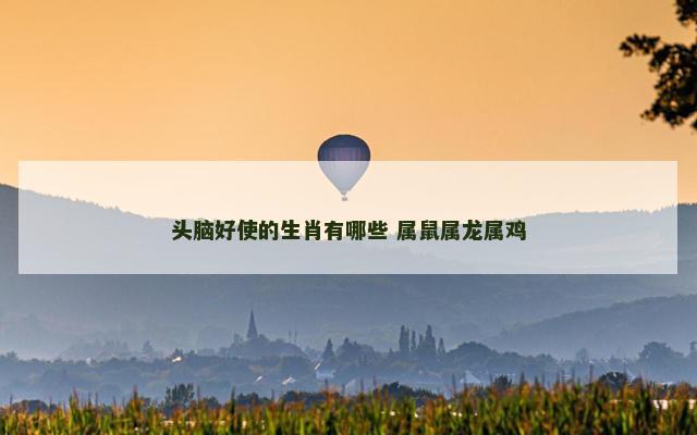 头脑好使的生肖有哪些 属鼠属龙属鸡