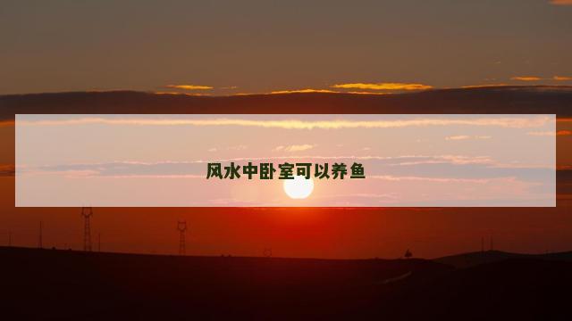 风水中卧室可以养鱼