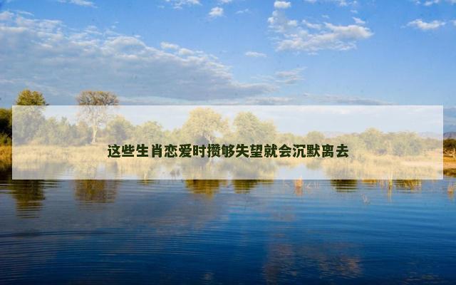 这些生肖恋爱时攒够失望就会沉默离去