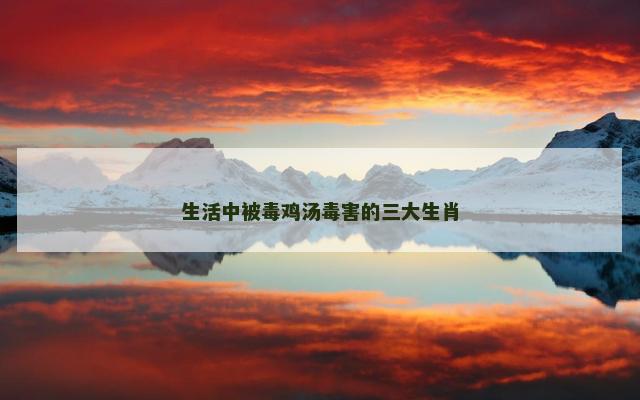 生活中被毒鸡汤毒害的三大生肖