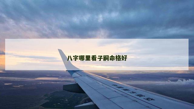 八字哪里看子嗣命格好