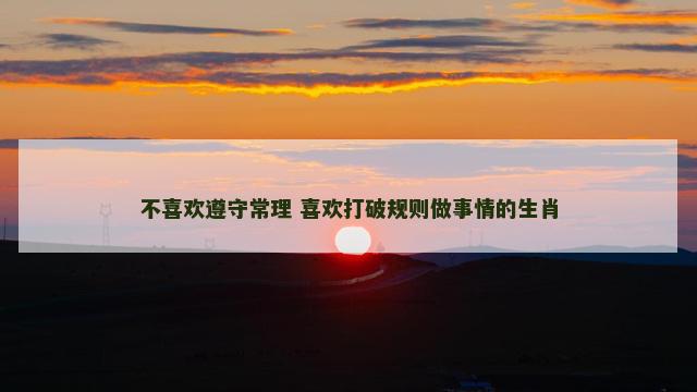 不喜欢遵守常理 喜欢打破规则做事情的生肖