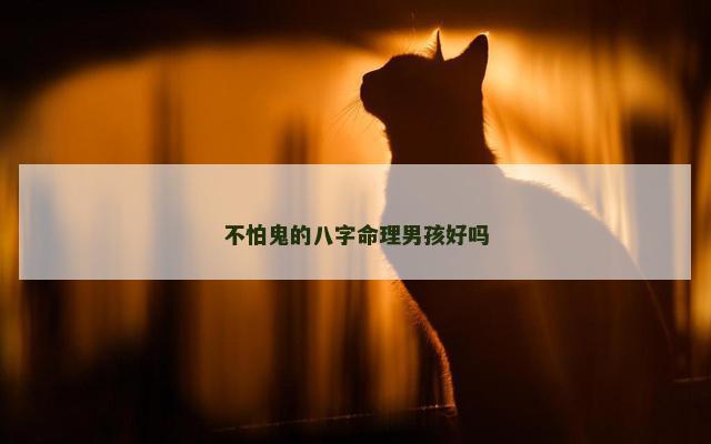 不怕鬼的八字命理男孩好吗