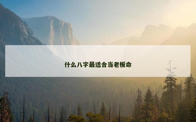 什么八字最适合当老板命