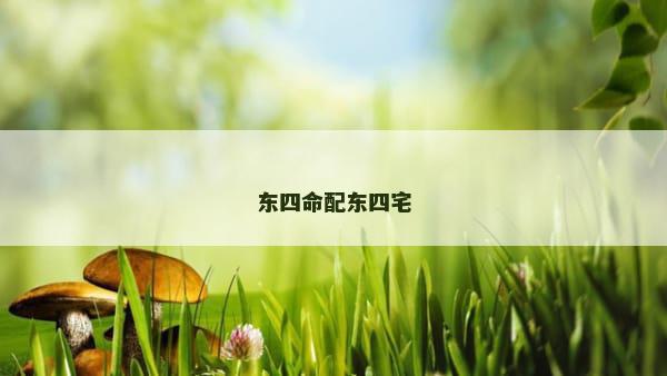 东四命配东四宅