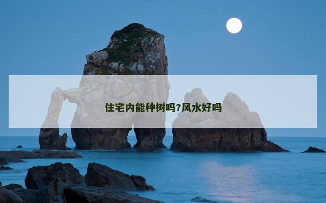 住宅内能种树吗?风水好吗