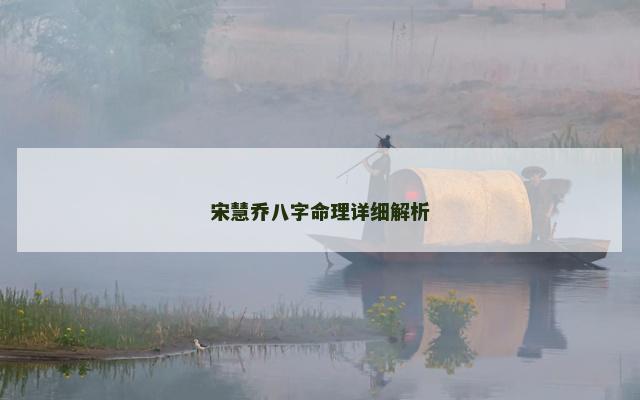 宋慧乔八字命理详细解析