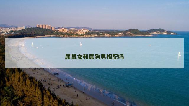 属鼠女和属狗男相配吗