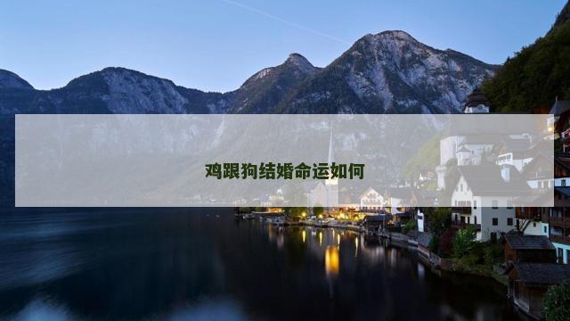 鸡跟狗结婚命运如何