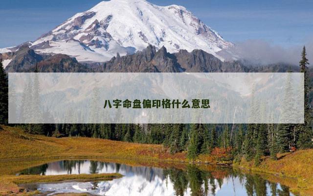 八字命盘偏印格什么意思