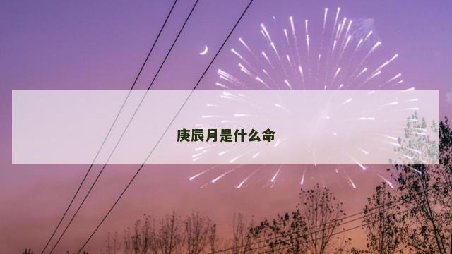 庚辰月是什么命