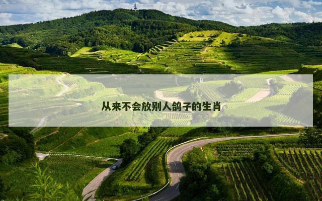 从来不会放别人鸽子的生肖