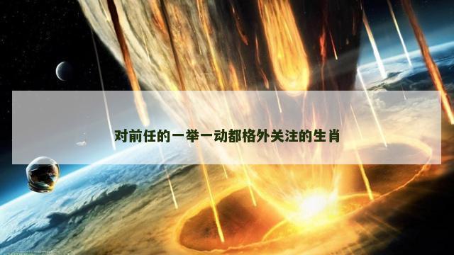 对前任的一举一动都格外关注的生肖